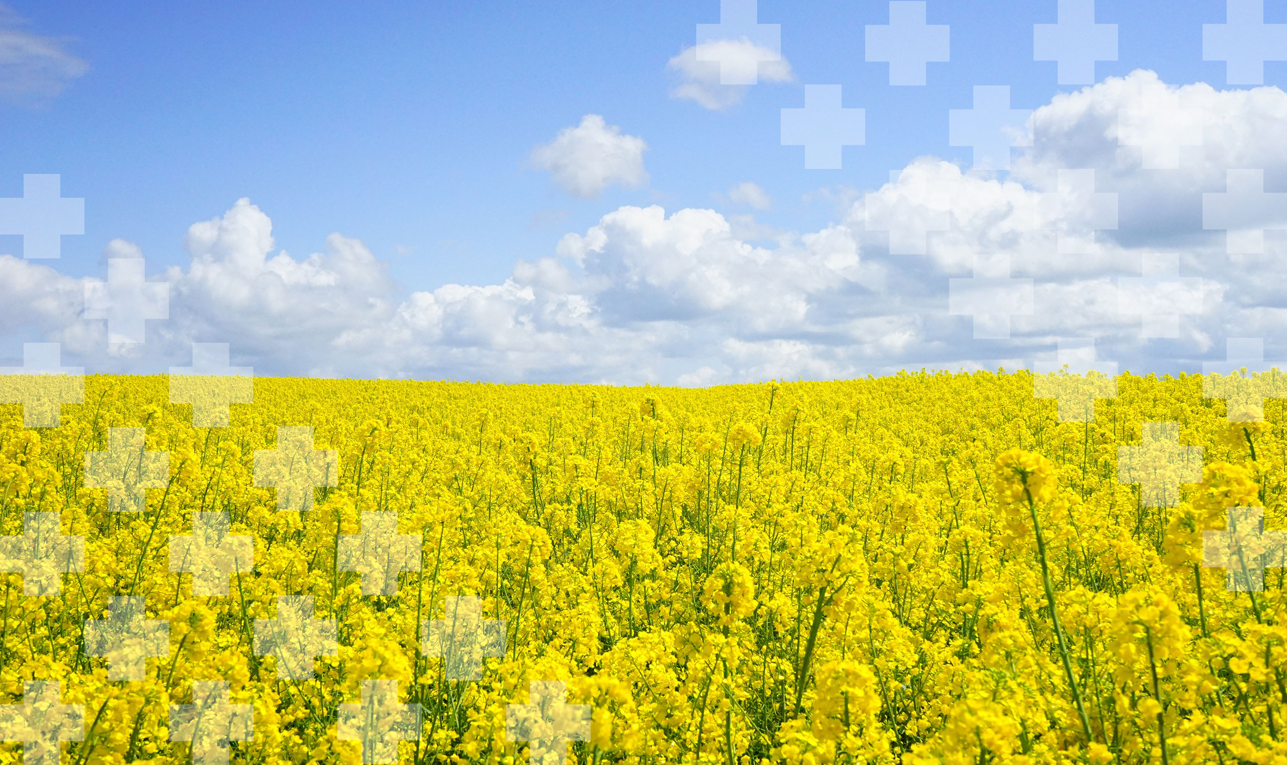 MNA_hayfever_hero_Q2_2026